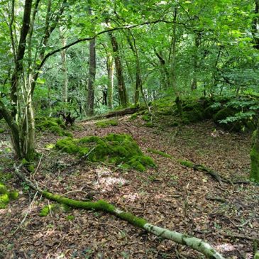 Early mining on Cefn Carnau